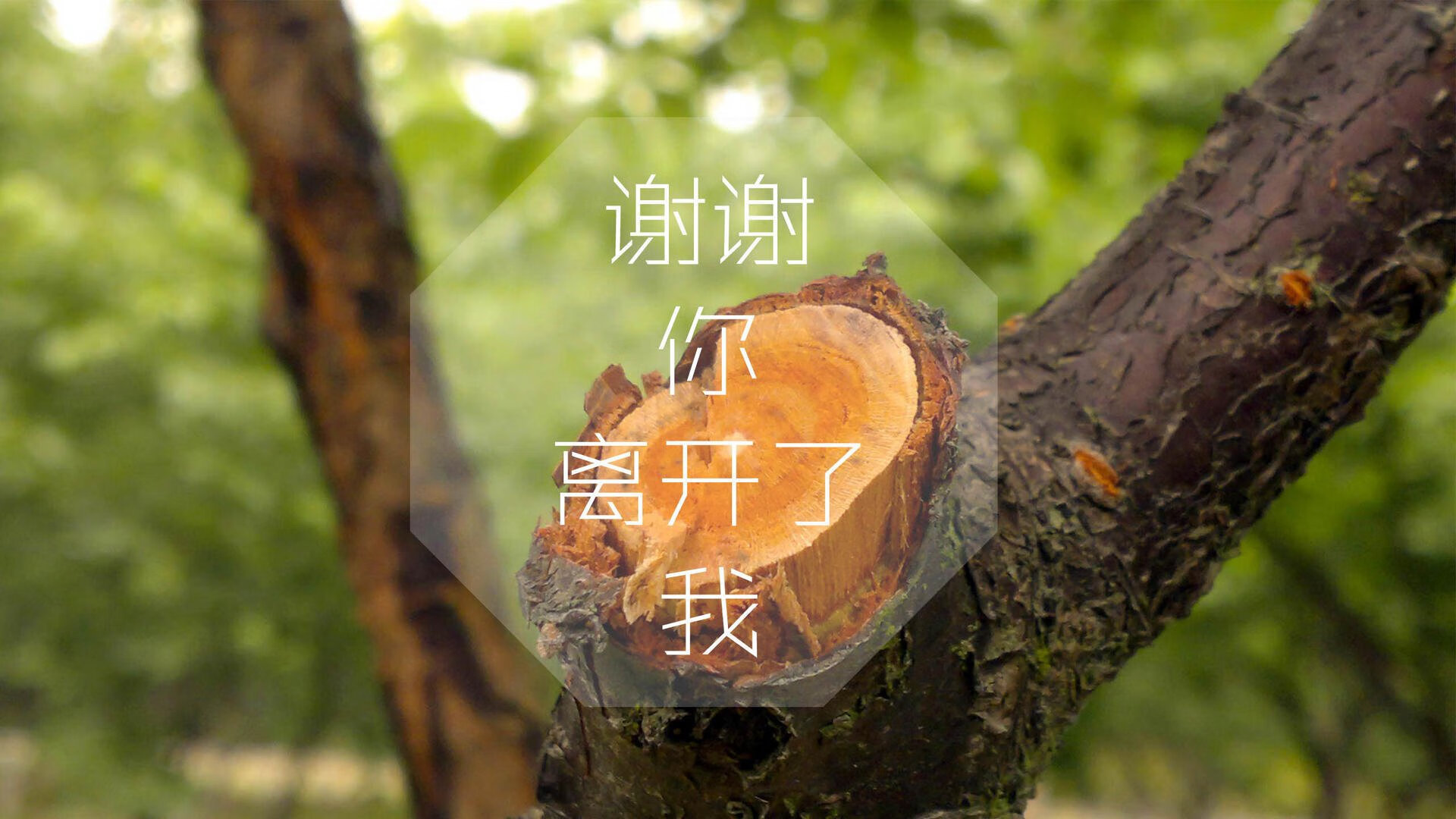 乐鱼（中国）体育官方网站-“明星战神再临！最炙手可热的投手与击球手全场对抗”，投球手是什么意思