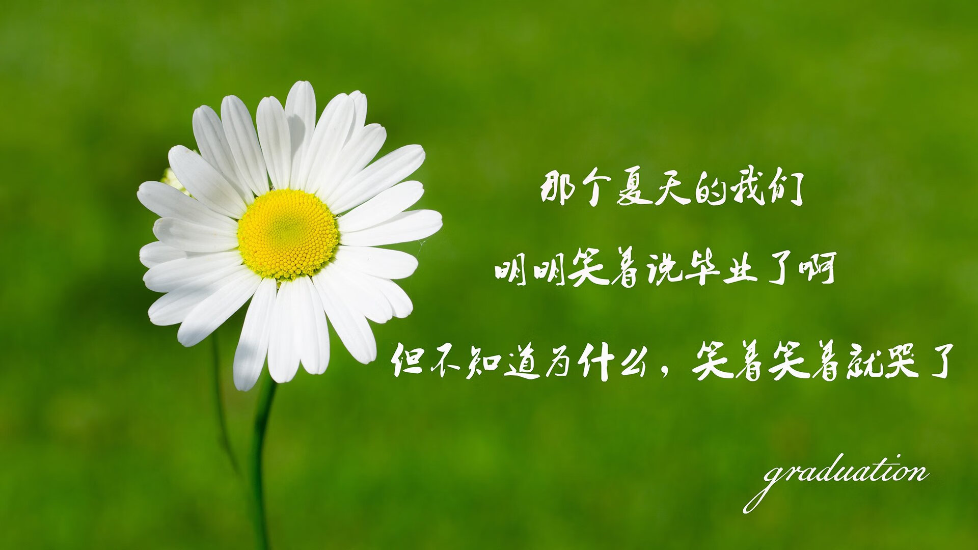 球员心声：欧冠最难忘的比赛中的那些瞬间，欧冠杯球员