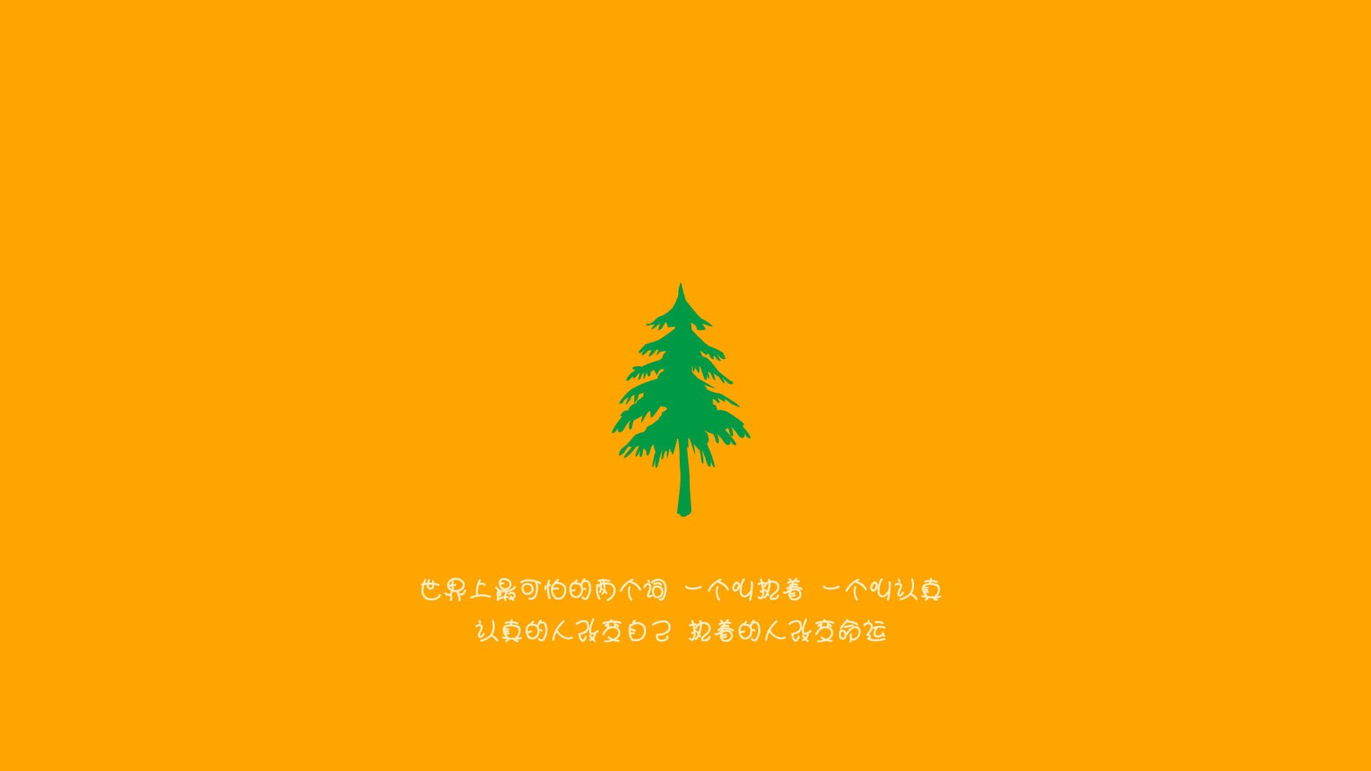 女足世界杯历史回顾展，女足世界杯历史回顾展示