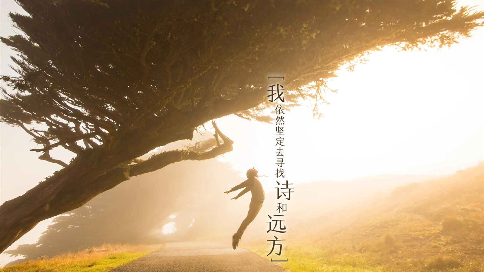 西甲裁判语言指令对比赛节奏掌控的影响分析，西乙裁判