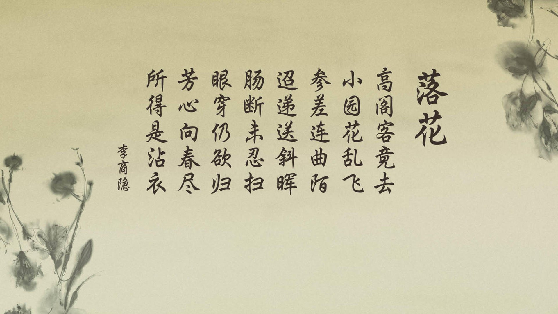 Palmer未来在国际赛场备受期待，pal赛事
