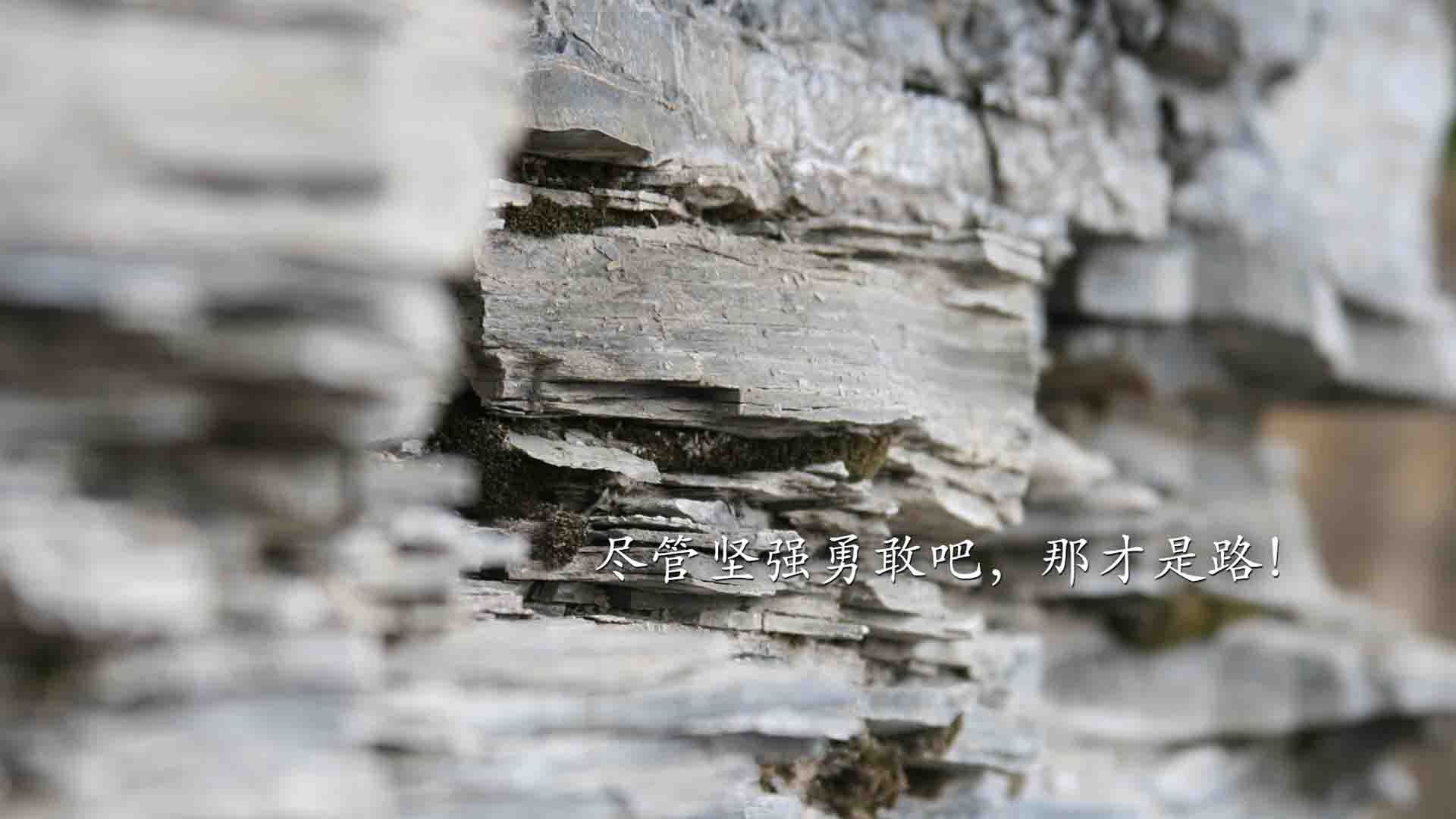 体育新闻中心启动体育数字人才培养专项计划，体育数字化改革方案