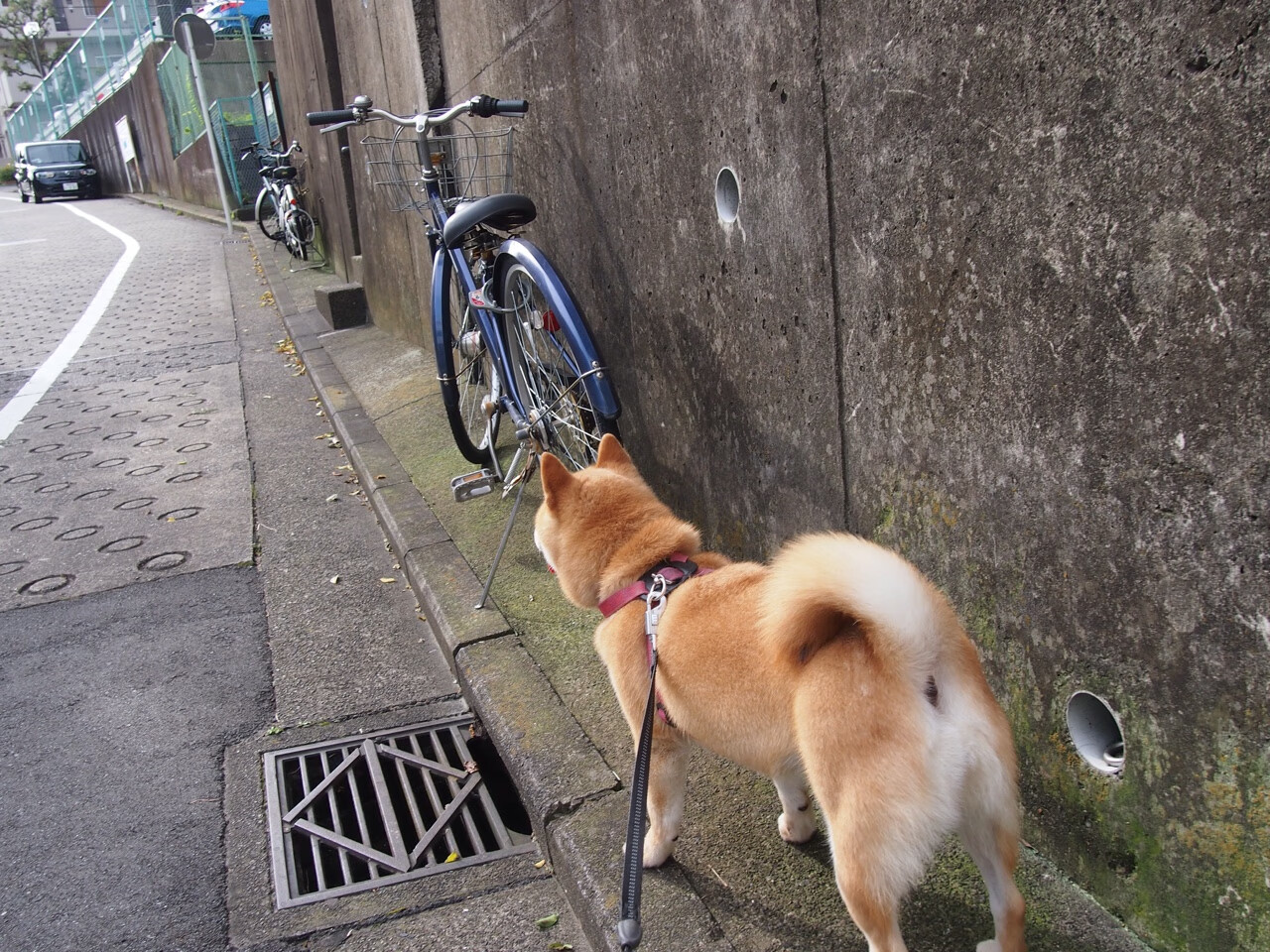 乐鱼娱乐app-女足队员专项训练侧重小范围控球和传导能力，女足 训练