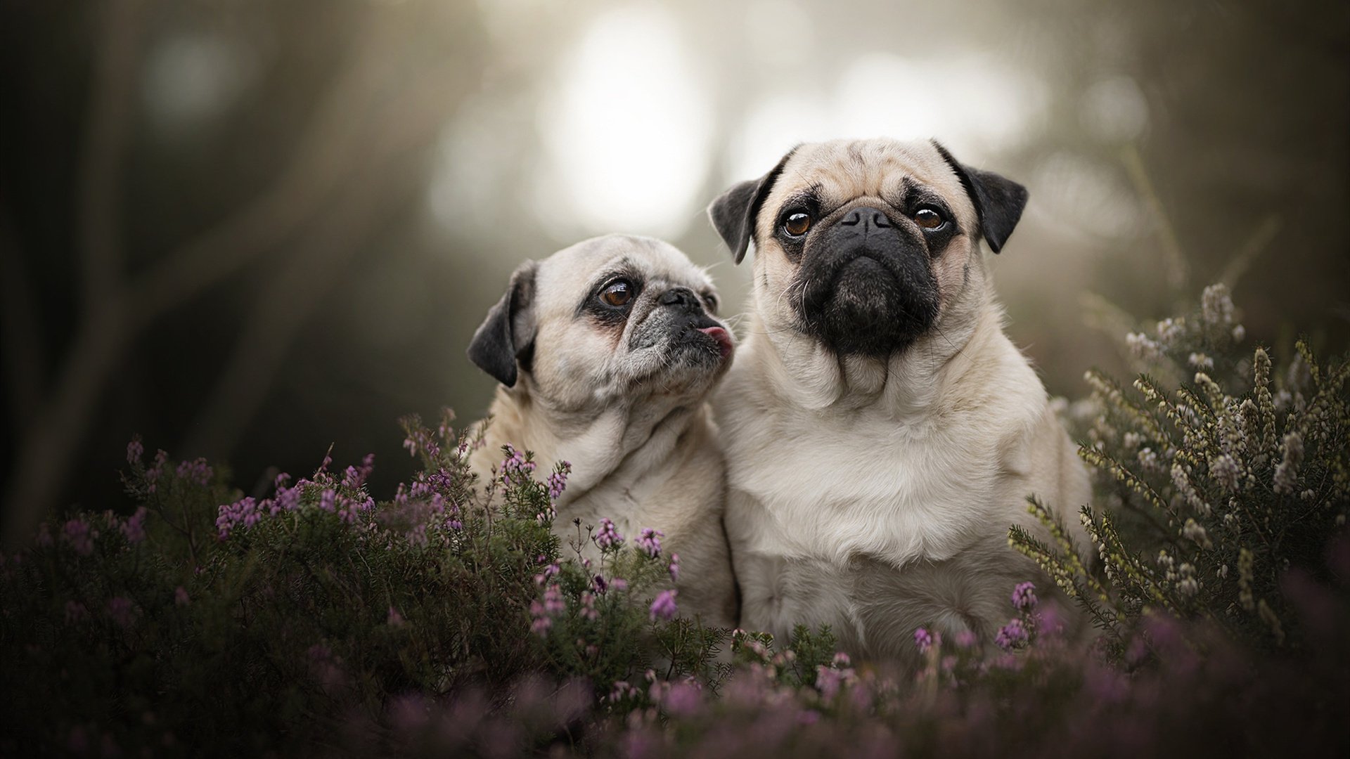 Leyu Sport下载-热火赛后安排恢复泳池课程降低疲劳感，热火2021休赛期薪资空间