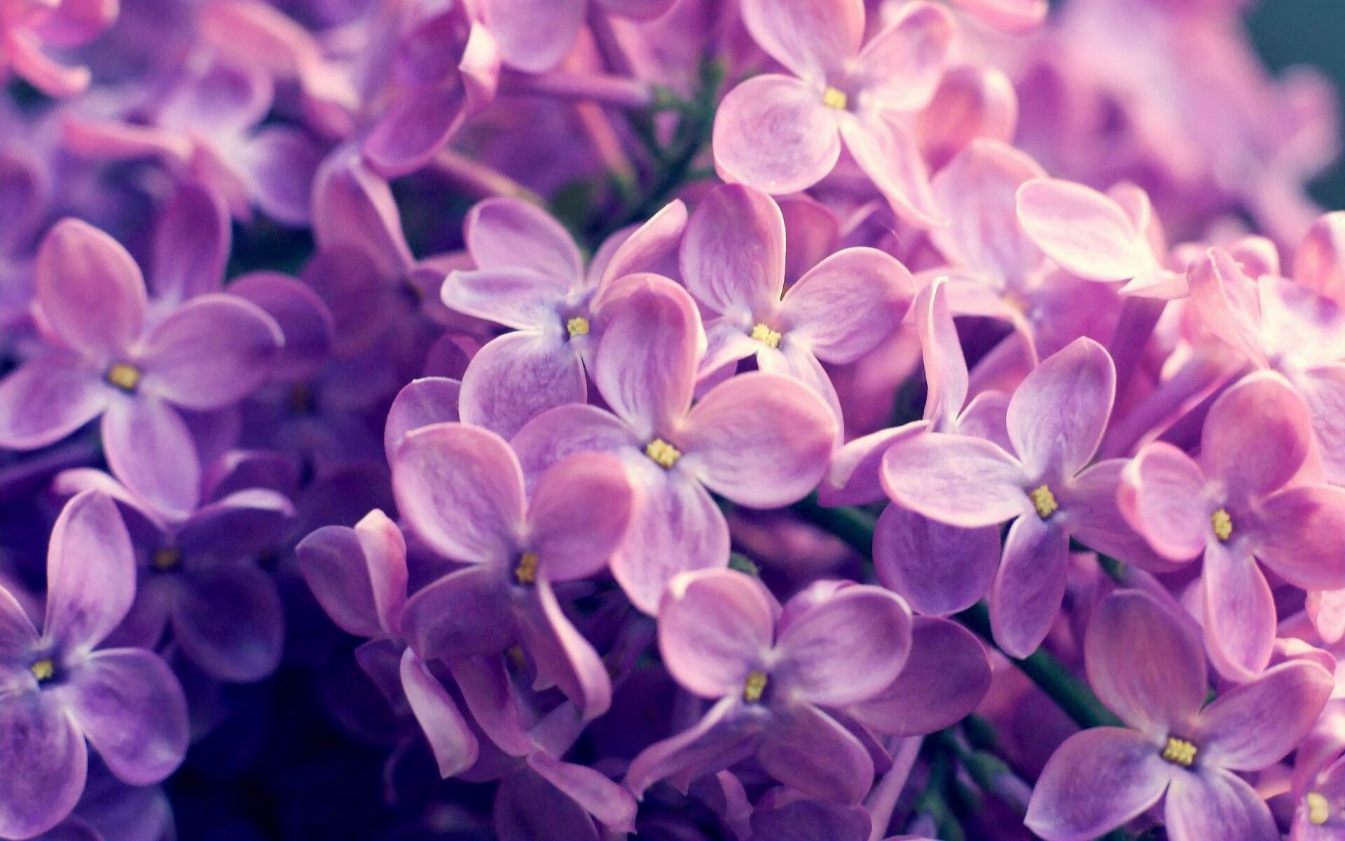 leyu乐鱼官网登录入口-篮球比赛战术微课堂开设提升球迷专业知识普及度，篮球比赛实用战术