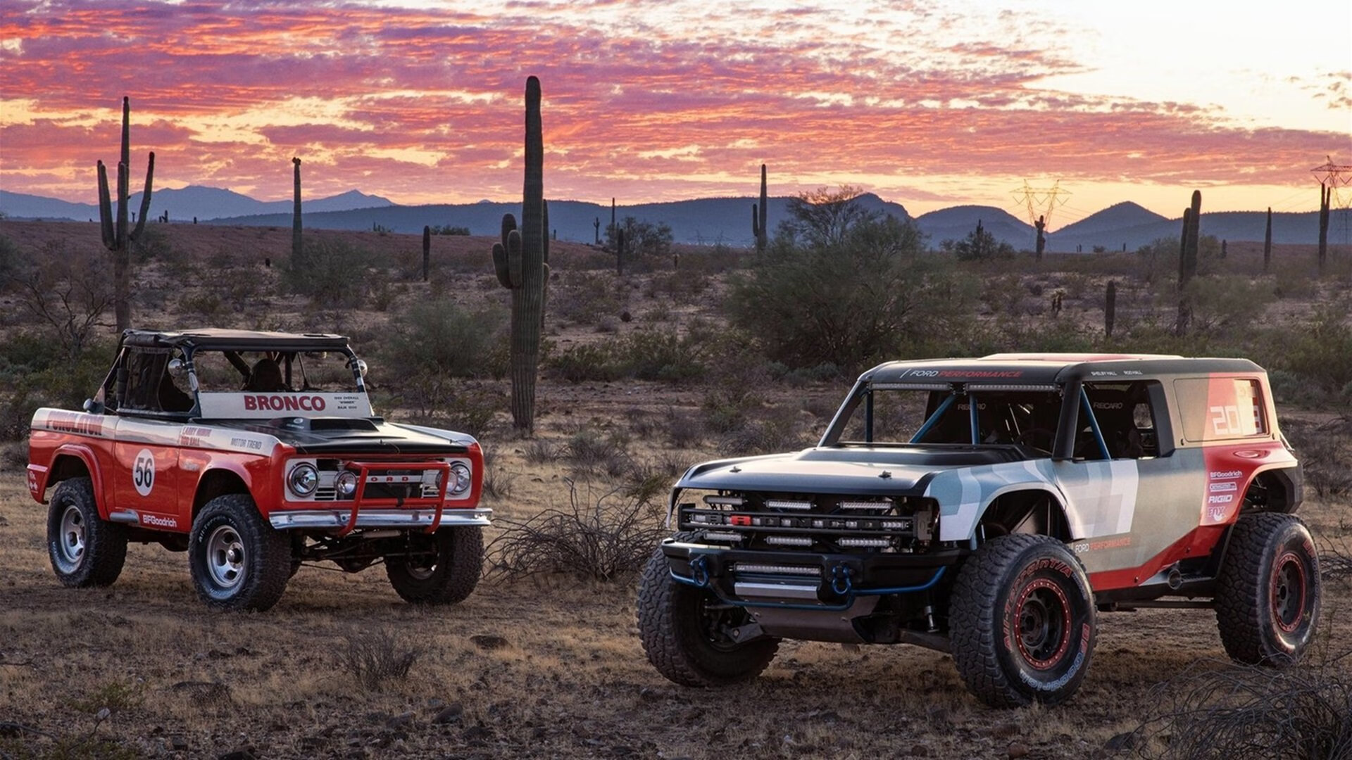 乐鱼官方登录入口-阿莱克西蝶泳冲刺力强势晋级，阿莱克西亚唱歌